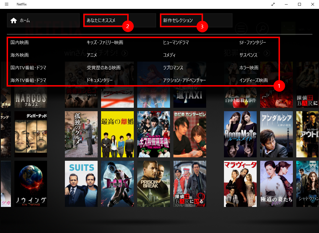 programs shown by netflix